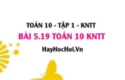 Bài 5.19 SGK Toán 10 Kết nối tri thức tập 1